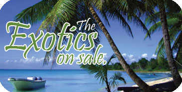 Biggest Sale of the Year